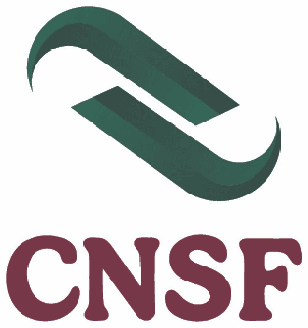 Comisión Nacional de Seguros y Fianzas